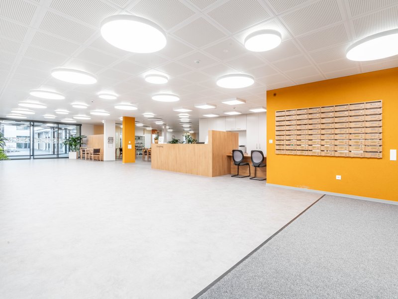 25.11.2024 (Fotograf: TolisArt)